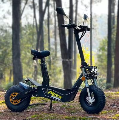 Έξω δρόμου 2000W 3000W Mobility Ηλεκτρικό σκούτερ COC EEC Brushless Motor 10inch Hub Motor Ηλεκτρικό σκούτερ Motor Bike με CE