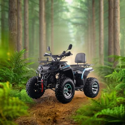 200CC ATV 250CC ATV Ενήλικας ATV Quad Bike με Chain Drive και 1000W Ηλεκτρική Pull Start