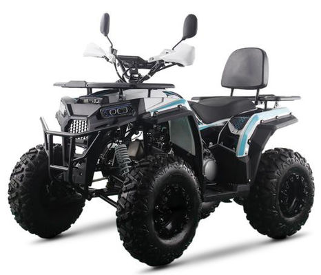 200CC ATV 250CC ATV Ενήλικας ATV Quad Bike με Chain Drive και 1000W Ηλεκτρική Pull Start