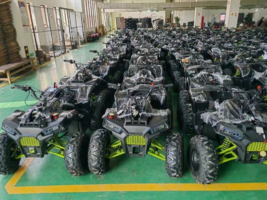 200CC ATV 250CC ATV Ενήλικας ATV Quad Bike με Chain Drive και 1000W Ηλεκτρική Pull Start