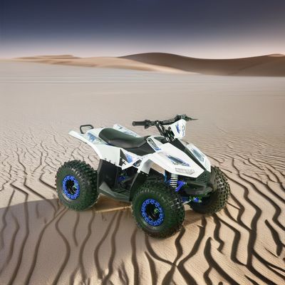 2024 Έφηβοι 4x4 1000W 48V 1200W Ηλεκτρικός Άξονας Οδηγείται Quad Bike Ηλεκτρικό Quad ATV