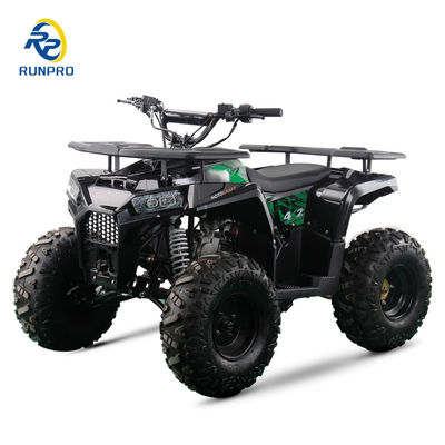 2WD All-terrain Double Four-wheeler Beach Buggy με 100-200kg χωρητικότητα ωφέλιμου φορτίου Perfect
