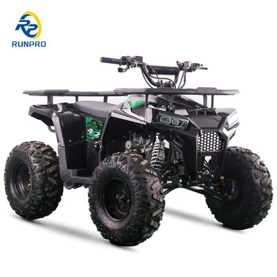 2WD All-terrain Double Four-wheeler Beach Buggy με 100-200kg χωρητικότητα ωφέλιμου φορτίου Perfect