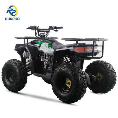 2WD All-terrain Double Four-wheeler Beach Buggy με 100-200kg χωρητικότητα ωφέλιμου φορτίου Perfect