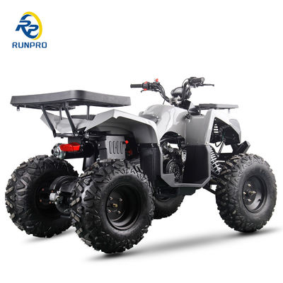 Αεριοκίνητο / Ντίζελ Beach Buggy Chain Drive 4 τροχών 4 ροών τετρακίνητο ποδήλατο 200cc / 300cc για ενήλικες