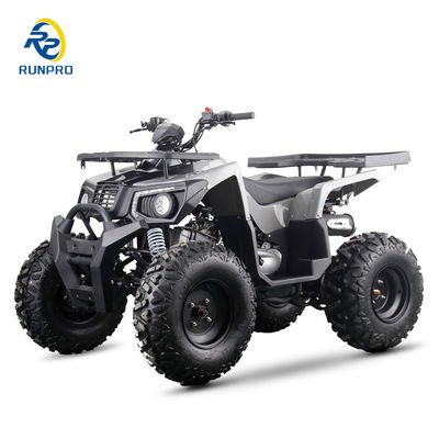 Αεριοκίνητο / Ντίζελ Beach Buggy Chain Drive 4 τροχών 4 ροών τετρακίνητο ποδήλατο 200cc / 300cc για ενήλικες