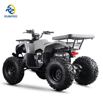 Αεριοκίνητο / Ντίζελ Beach Buggy Chain Drive 4 τροχών 4 ροών τετρακίνητο ποδήλατο 200cc / 300cc για ενήλικες