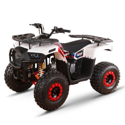Παιδικό τετρακίνητο 110cc 125cc ATV τετρακίνητο με αλυσίδα