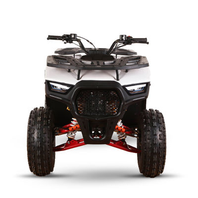 Παιδικό τετρακίνητο 110cc 125cc ATV τετρακίνητο με αλυσίδα