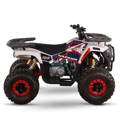 Παιδικό τετρακίνητο 110cc 125cc ATV τετρακίνητο με αλυσίδα