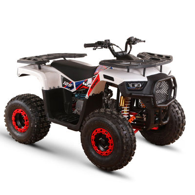 125CC Αεριοκίνητα ATV για ενήλικες άμεση υψηλή ικανότητα ≥25° Μετακίνηση 125cc
