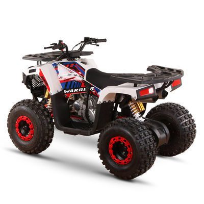 Τερόπο 110cc 125cc τετρακίνητα για ενήλικες Μέγιστο φορτίο 150kgs Δυνατότητα μετάδοσης αλυσίδας