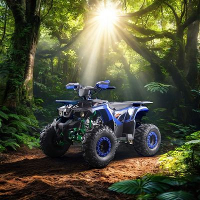 Δυνατά τετράκυκλα οχήματα ATV 125cc με καύσιμο αερίου με τύπου οδήγησης 2WD και ενδιαφέροντα χαρακτηριστικά