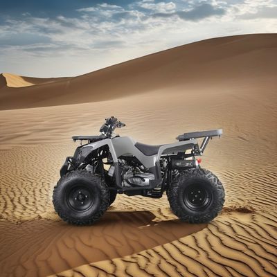 Δυνατό 200cc αέριο ATV για ενήλικες Μέγιστη ροπή 40-60Nm και μέγιστη ταχύτητα 75km / h