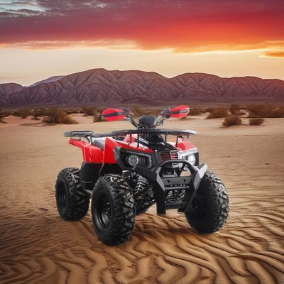 Δυνατό 200cc αέριο ATV για ενήλικες Μέγιστη ροπή 40-60Nm και μέγιστη ταχύτητα 75km / h
