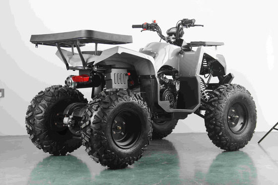 Τόλ-τερερέν 200CC βενζινοκίνητο ενήλικο ATV με αυτόματο κινητήρα και 10 ίντσες ατσάλινα τροχούς