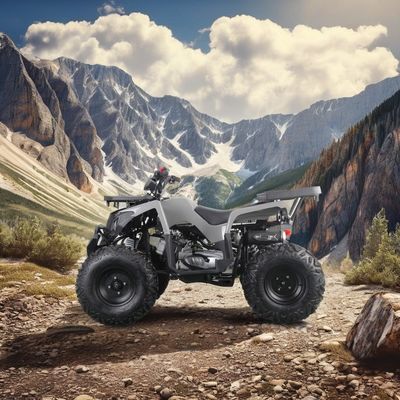 2024 Runpro 10 ιντσών ελαστικό από χάλυβα 200cc ATV με φως LED απελευθερώστε την εσωτερική σας περιπέτεια