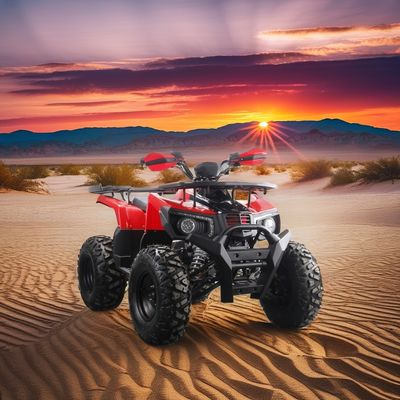 Off-road 10 ιντσών ελαστικό 200CC 250CC ενήλικες τετρακίνητο ATV με αυτόματη εκκίνηση και αλυσίδα κίνησης