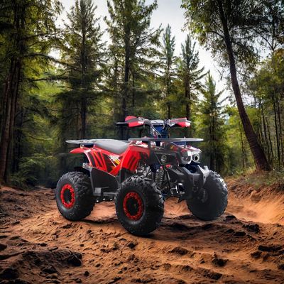 Παιδικό ATV 125cc με αυτόματο κιβώτιο ταχυτήτων και μη εξοπλισμένο διαχωριστικό κλειδί