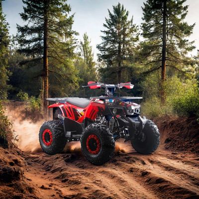 125cc ATV για παιδιά RunPro 2024 Ηλεκτρική εκκίνηση Φάρμα Τετρακίνητο ποδήλατο αλυσίδα κίνηση CE αυτόματη