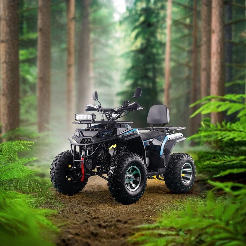 200CC ATV 250CC ATV Ενήλικας ATV Quad Bike με Chain Drive και 1000W Ηλεκτρική Pull Start