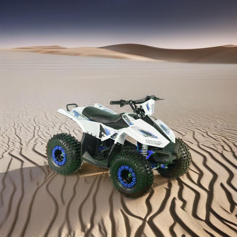 2024 Έφηβοι 4x4 1000W 48V 1200W Ηλεκτρικός Άξονας Οδηγείται Quad Bike Ηλεκτρικό Quad ATV