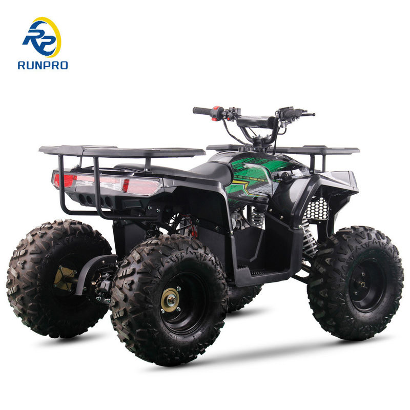 2WD All-terrain Double Four-wheeler Beach Buggy με 100-200kg χωρητικότητα ωφέλιμου φορτίου Perfect