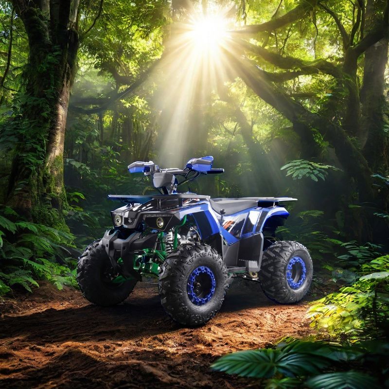 Δυνατά τετράκυκλα οχήματα ATV 125cc με καύσιμο αερίου με τύπου οδήγησης 2WD και ενδιαφέροντα χαρακτηριστικά