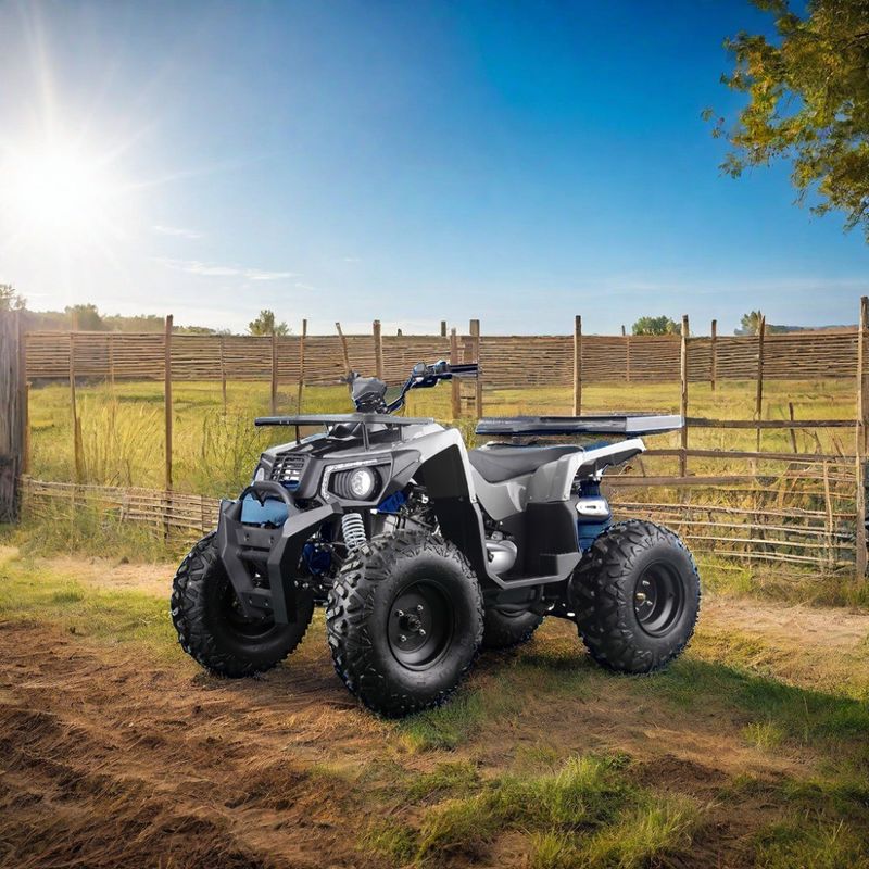 Δυνατό 200cc αέριο ATV για ενήλικες Μέγιστη ροπή 40-60Nm και μέγιστη ταχύτητα 75km / h